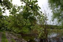 Меловые горы на Дону у хутора Мелоклетского