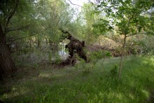 Меловые горы на Дону у хутора Мелоклетского