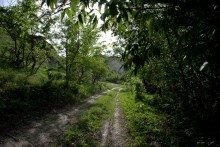 Меловые горы на Дону у хутора Мелоклетского