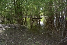 Меловые горы на Дону у хутора Мелоклетского