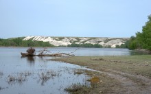 Меловые горы на Дону у хутора Мелоклетского