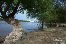 Меловые горы на Дону у хутора Мелоклетского