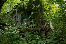 Елизаветинское восстание казаков