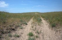 Бехтелевские пески в дельте Дона и ласточки береговушки