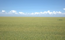 Азовское море, Таганрогский залив между Чумбур косой и Семибалками