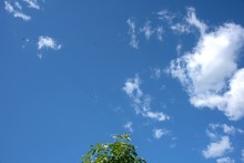 Летний пляжный отдых на Дону