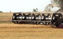 Уборка урожая 2024