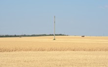 Уборка урожая 2024