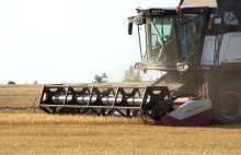 Уборка урожая 2024