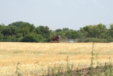 Уборка урожая 2024