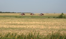 Уборка урожая 2024