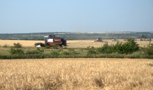 Уборка урожая 2024