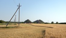 Уборка урожая 2024