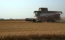 Уборка урожая 2024