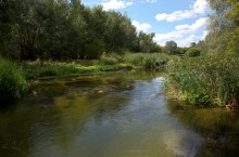 Река Калитва у хутора Ильинка