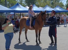 Фестивать казачьей культуры "Степь ковыльная" 2024 в хуторе Керчик-Савров