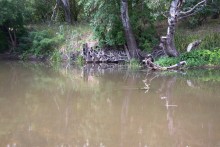 Брод на Калитве