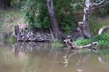 Брод на Калитве