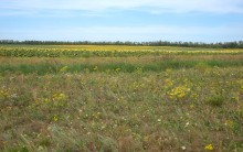 Долина Тузлова в последний день очень засушливого лета