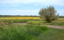 Долина Тузлова в последний день очень засушливого лета