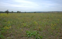 Долина Тузлова в последний день очень засушливого лета