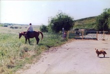 Дом помещиков и клуб в хуторе Демишев