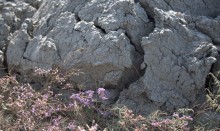 Тамань-Керчь 2024