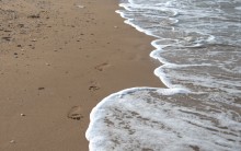 Тамань-Керчь 2024