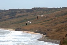 Тамань-Керчь 2024