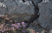 Грязевые вулканы Тамани, Плевака, Карабетова сопка, гора Горелая