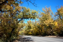 Октябрьская прогулка солнечным днём по долине Темерника, Ростовскому морю и Дону у Старочеркасской