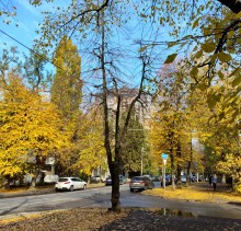 ул Первой Конной армии в октябре