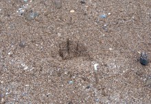 Находки на южном берегу Меотиды