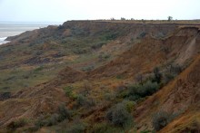 Находки на южном берегу Меотиды