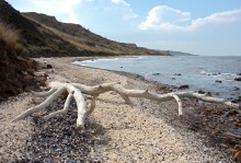 Находки на южном берегу Меотиды