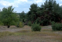 Место на Калитве, у хутора Свинарёв, где стояла одна из первых шахт на Восточном Донбассе - "Ольга"