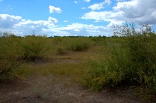Место на Калитве, у хутора Свинарёв, где стояла одна из первых шахт на Восточном Донбассе - "Ольга"