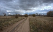 Поиск грибов в белолистке, в ноябрьских, Кундрюченских лесах