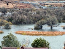 Ветровой нагон в дельте Дона 04.11.2024