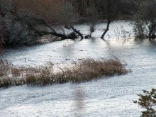 Ветровой нагон в дельте Дона 04.11.2024