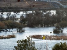 Ветровой нагон в дельте Дона 04.11.2024