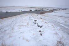 Грядные горы на Лихой и Северском Донце