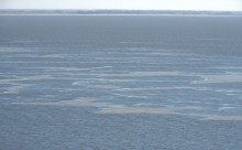 Замерзание Таганрогского залива в начале зимы