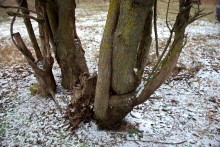 Природа реки Кундрючьей