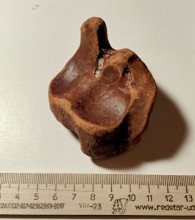 Декабрьская прогулка по берегу Меотиды под обрывами у Семибалок. Находки.