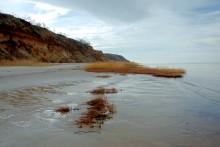 Декабрьская прогулка по берегу Меотиды под обрывами у Семибалок. Находки.