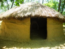 Турлучный дом