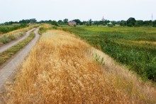 Старый казачий вал в станице Маныческой