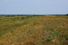 Старый казачий вал в станице Маныческой