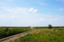 Старый казачий вал в станице Маныческой
